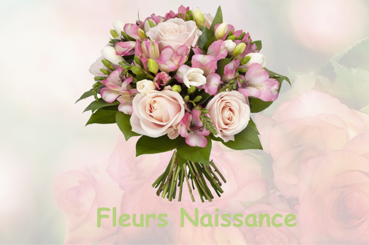 fleurs naissance VAUX-SUR-AURE